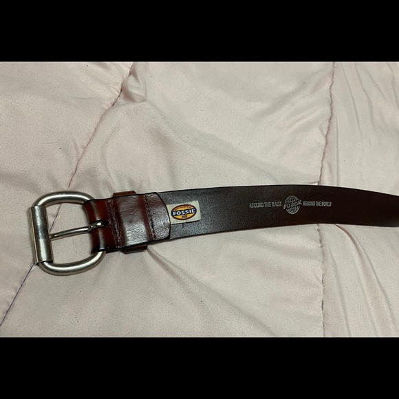 Fossil belt - Picture 1 of 5